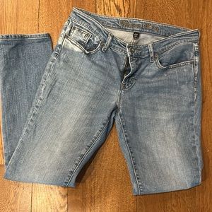 Gap Premium Skinny Jean